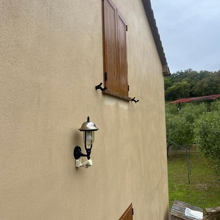 Agriturismo Il Sorbo Appartamento Menta Sticciano Exterior foto